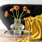 More - Spiral Glass Vase Series-Furnishings- A Bit Sleepy | Homedecor Concept Store